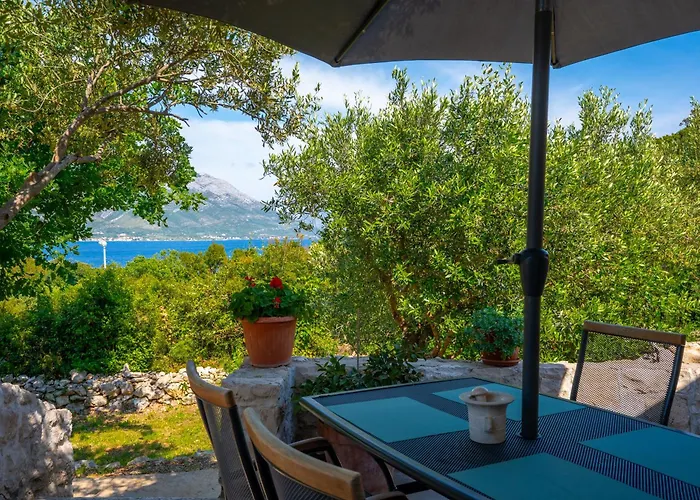 Maslina Διαμέρισμα Kneza