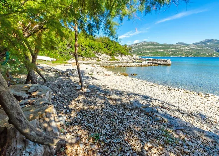 Διαμέρισμα Maslina Kneza