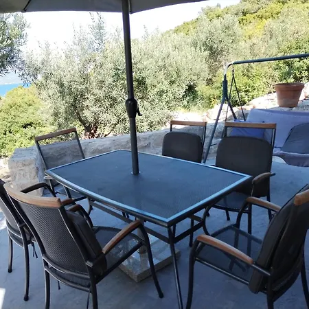 Maslina * Korčula