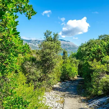 Apartament Maslina Korčula