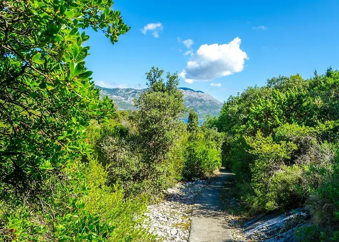 Апартаменты Maslina Kneza